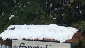 Un letrero de madera con la palabra 'Snowline' y adornos de copos de nieve, sobre un paisaje nevado con árboles.