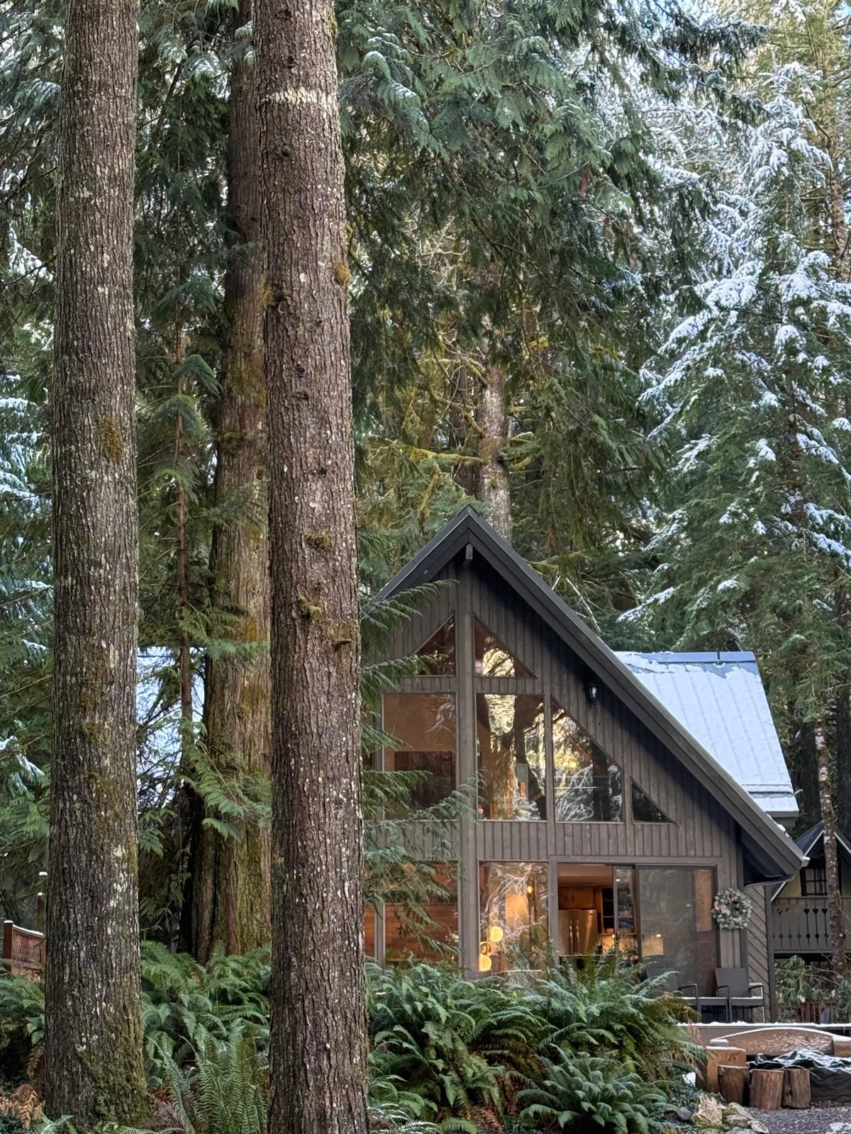 A cabin surrounded by tall trees and ferns, with a large window and a metal roof.