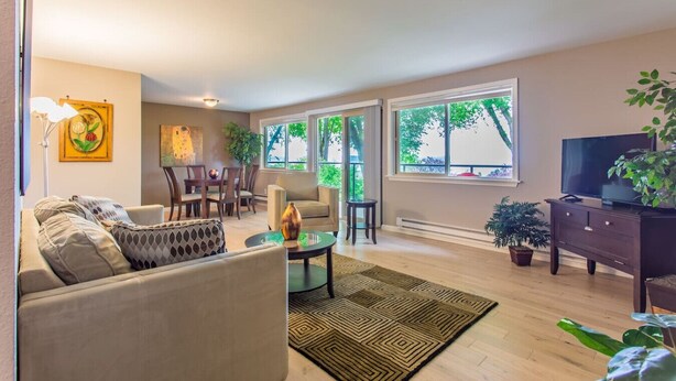 A spacious living room with a sofa, coffee table, and TV stand, large windows with a view of trees, and a dining area with chairs and a table.