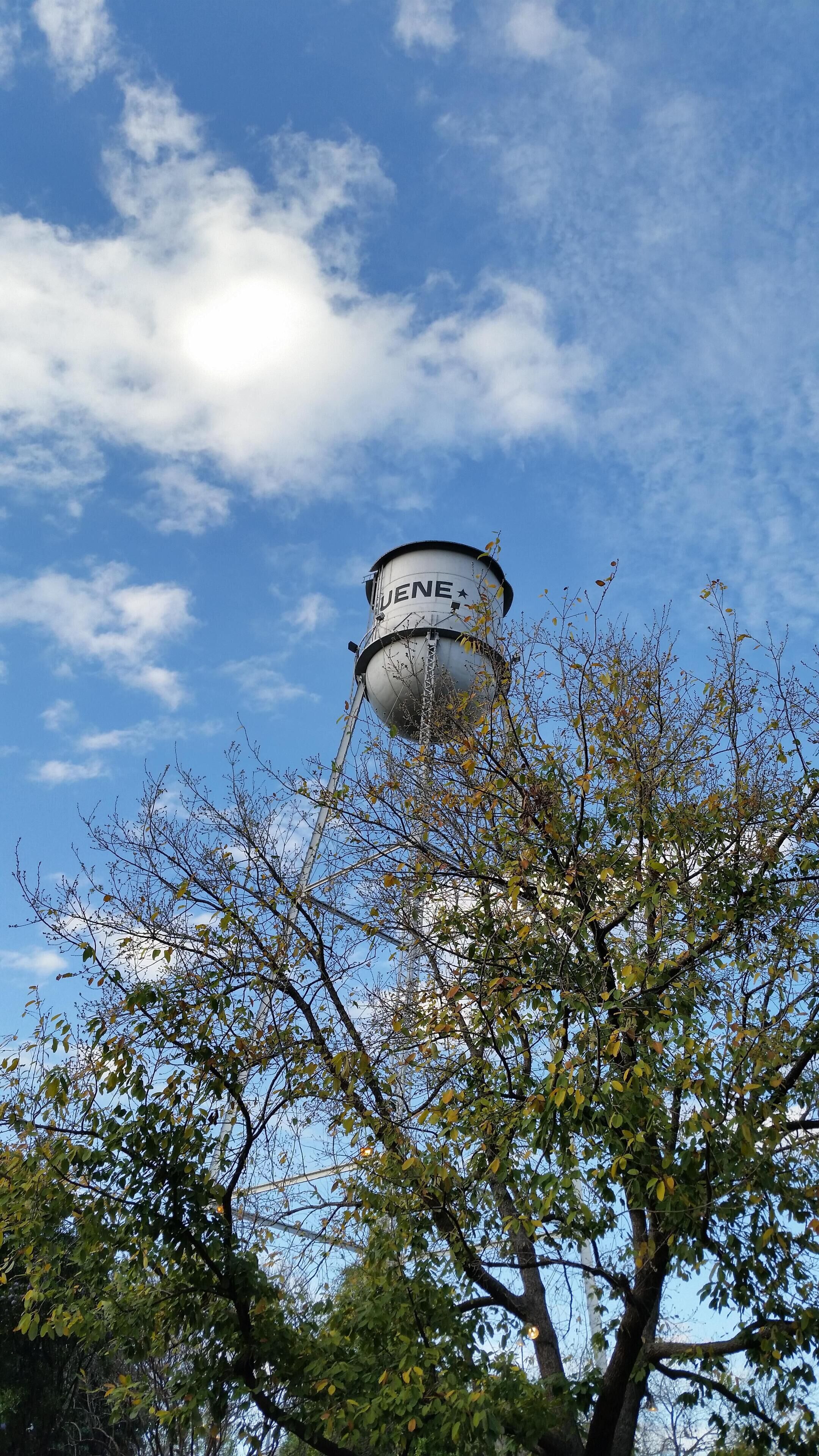 Un torre de agua con la inscripción "DENE" en medio de árboles bajo un cielo despejado.