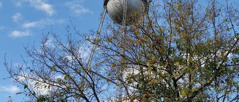 Un torre de agua con la inscripción "DENE" en medio de árboles bajo un cielo despejado.