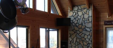 Smart TV, fireplace, DVD player, books