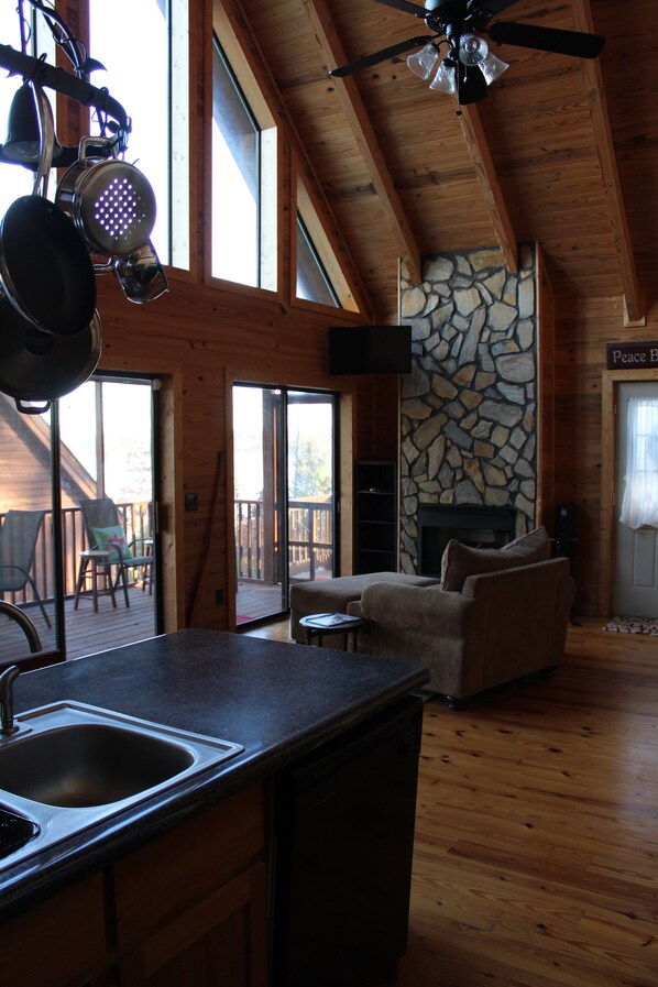 Smart TV, fireplace, DVD player, books