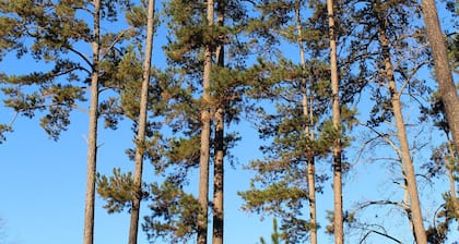Amusez-vous Ă la cabane! Pratique pour le lac Keowee et Clemson