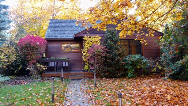 Une cabane en bois avec un chemin de pierres menant à l’entrée, entourée d’un feuillage automnal.