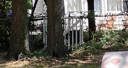 BeachY Mökki - 4 minuutin ajomatka Beach - $$ Oikea - Charming Decor-Family-Pet