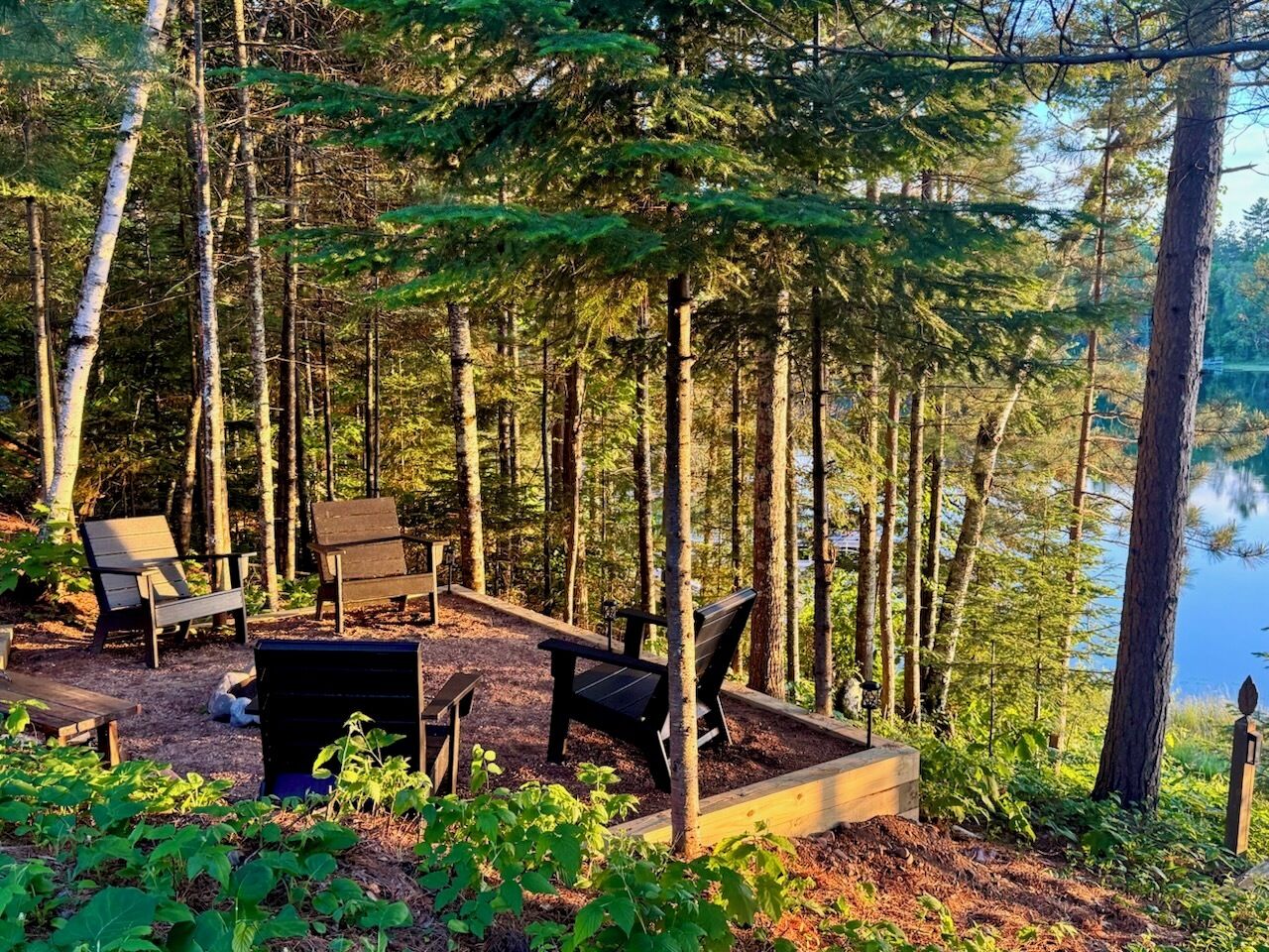 A forested area with a fire pit and seating.