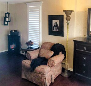 Smart TV, fireplace, video games, DVD player