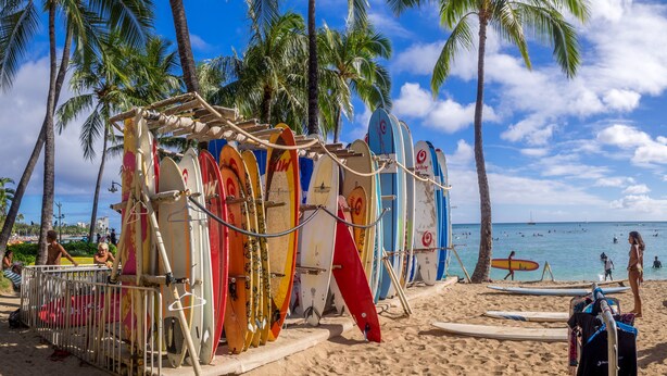 Une plage où l’on aperçoit des planches de surf alignées près de palmiers, sous un ciel bleu et dégagé.