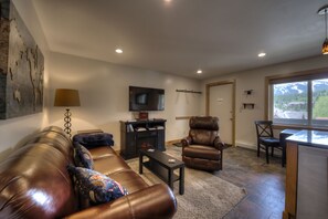 TV, fireplace, books