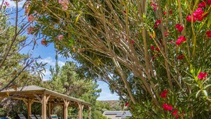 Un espace piscine agrémenté d’une pergola en bois, de chaises longues et d’un ciel d’un bleu limpide.