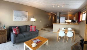 TV, fireplace, DVD player, video library