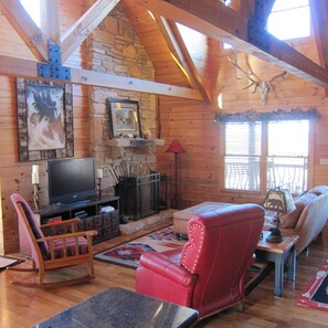 Televisión, chimenea, reproductor de DVD y libros