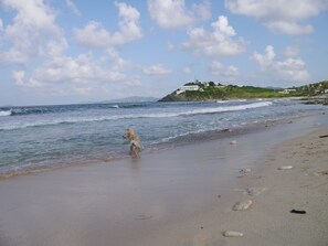 Playa en los alrededores, camastros y toallas de playa