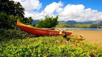 Plage à proximité, chaises longues, serviettes de plage