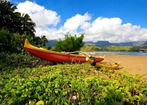 Playa en los alrededores, camastros y toallas de playa 