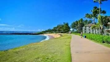 Playa en los alrededores, camastros y toallas de playa