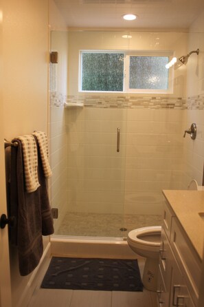 Combined shower/tub, jetted tub, hair dryer, towels
