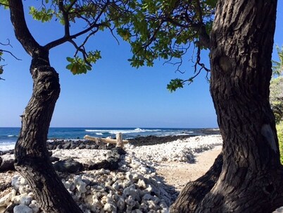  SPECTACULAR !!  Ground Floor Condo Sleeps 5  Golf ,Tennis ,.Gym Pool, Jacuzzi