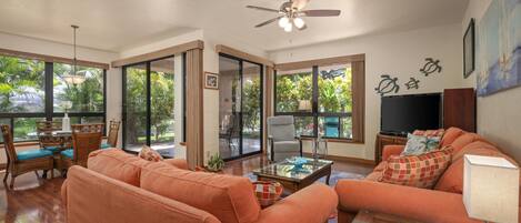 Una televisión, un reproductor de DVD, libros, una videoteca