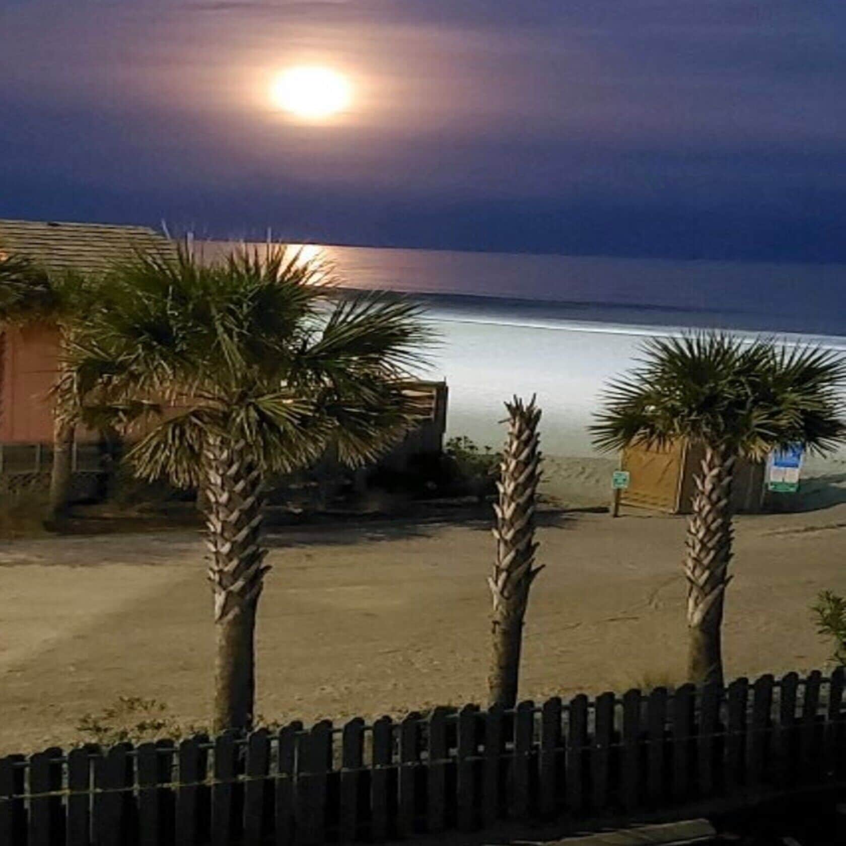 På stranden