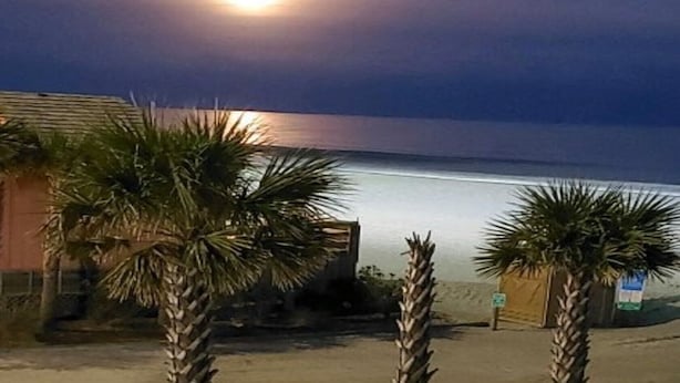 Vista noturna de uma praia com palmeiras e um edifício ao fundo.