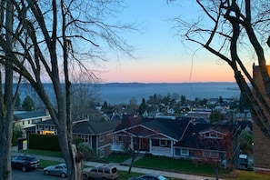 Eksteriør