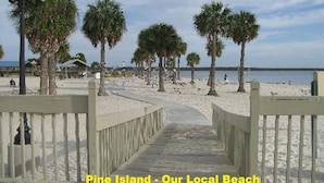 A pathway leading to a beach with palm trees and a fence.