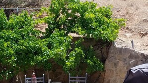 An outdoor seating area with metal tables and chairs, a large tree providing shade, and a rocky hillside in the background. - Private 2 Bedroom/ 2 Bath Home, close to Zion National Park (La Verkin)