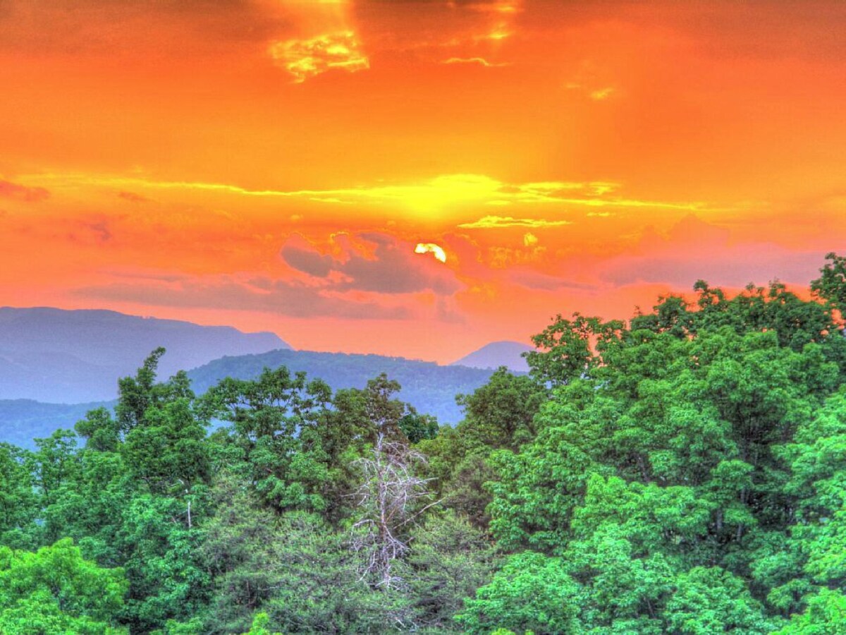 Pure Mountain Pleasure