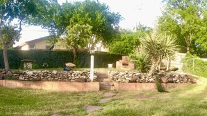 A backyard with a stone wall, a palm tree, and a peacock.