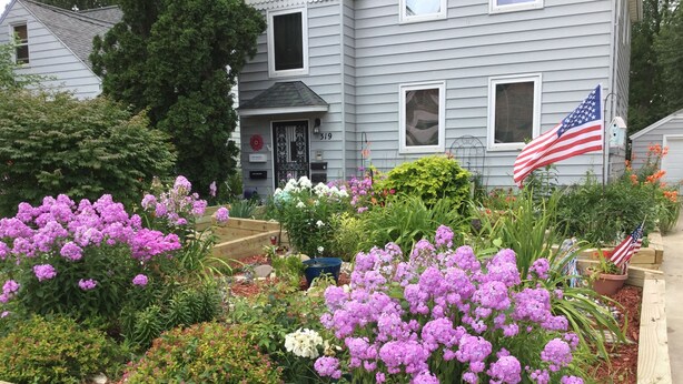 A residential garden with raised flower beds, a house with a number '319' on the door, and an American flag. - Main Floor 2 bedroom, 1 bath, Easy Walk to Mayo Clinic, trails, parks, shopping (Rochester)