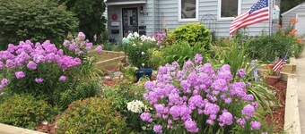 Nicely Furnished Main Floor. Walk to Mayo Clinic, trails, parks, shopping