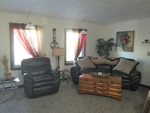 TV, fireplace, DVD player, books