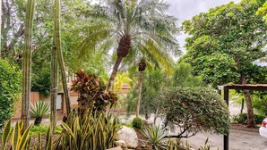 A lush garden with various plants, including tall cacti and palm trees, and a pergola structure. - AMAZING OCEAN VIEWS! "House in the Sky" Monte Paraiso (Playa Hermosa)