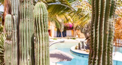Just steps from the Beach; Panoramic ocean views from private rooftop balcony!
