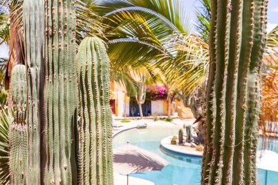 Just steps from the Beach; Panoramic ocean views from private rooftop balcony!