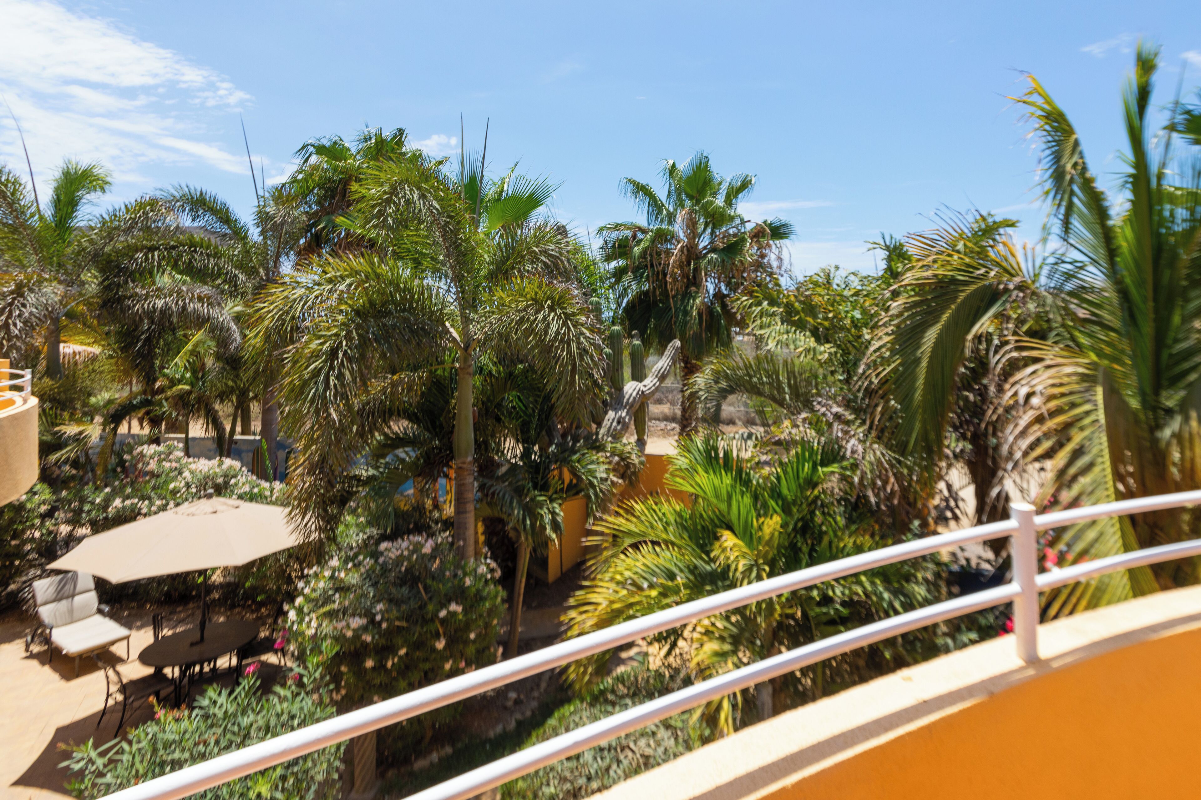 Ein Balkon mit Blick auf einen tropischen Garten, inklusive Palmen und einer Hängematte.