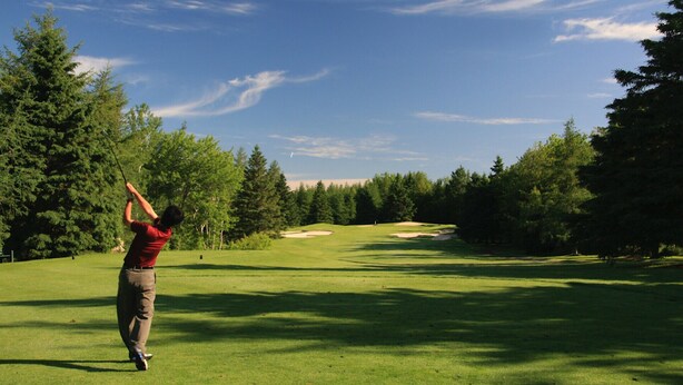 A person on a golf course with trees and a clear sky.