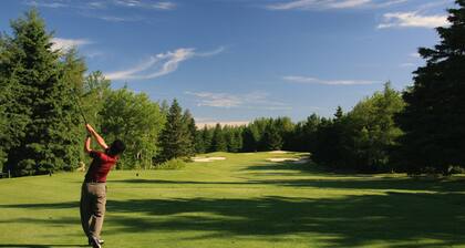 Kaunis makuupöytä RETREAT NEIL SILVER MOUNTAIN IDAHO