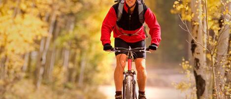 Una persona montando en bicicleta por un sendero bordeado de árboles.
