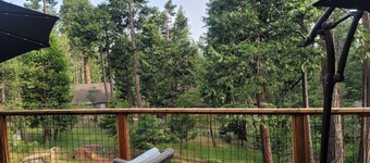 Beo sätta en Bear Valley / Arnold / Modern Mountain Get Away