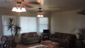 TV, DVD player, books, music library