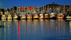 Un port de plaisance où de nombreux bateaux sont amarrés dans une eau calme, et où se reflètent les bateaux et les bâtiments environnants.