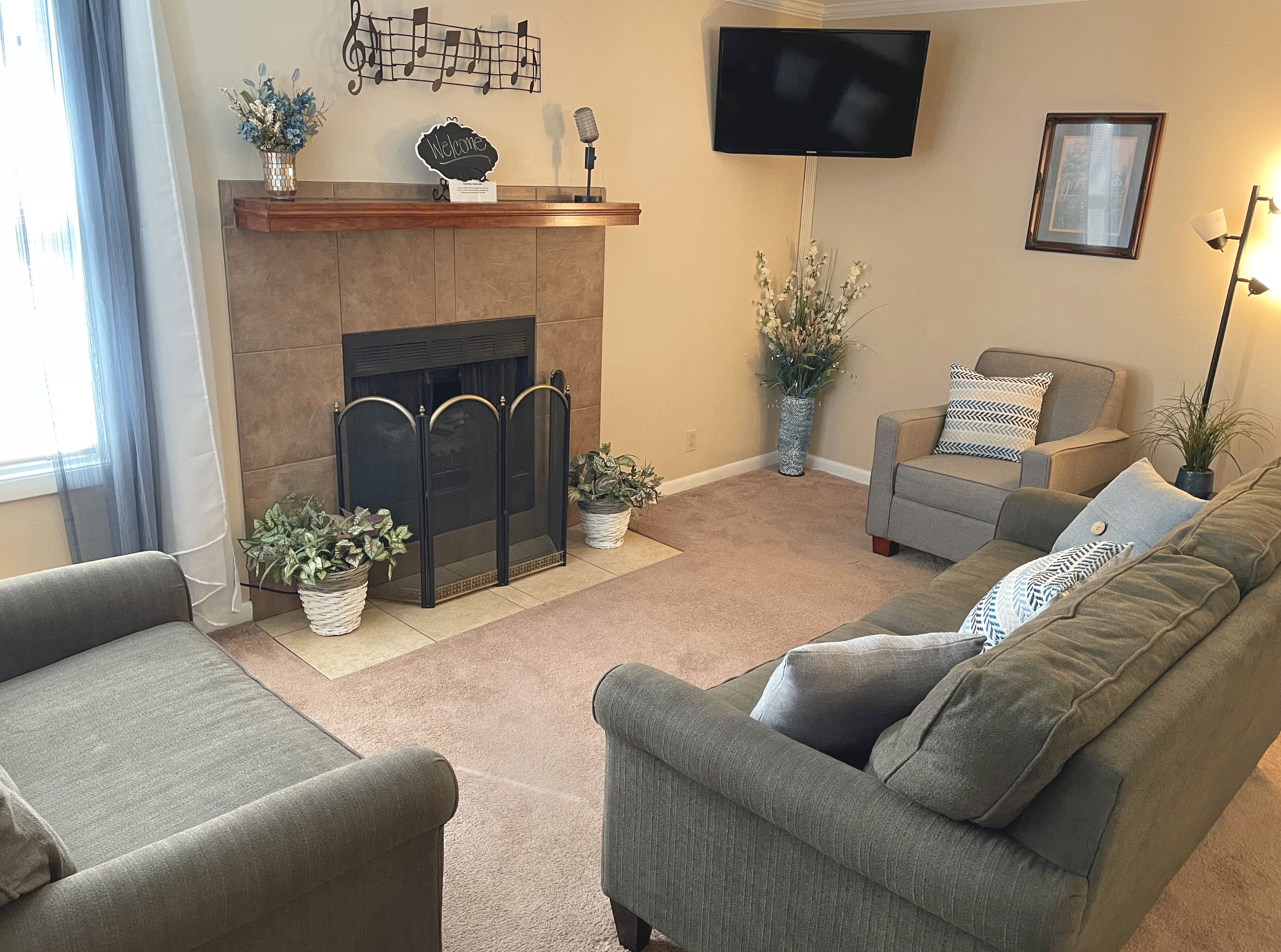 Smart TV, fireplace, books