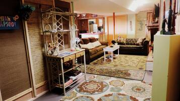 Smart TV, fireplace, books