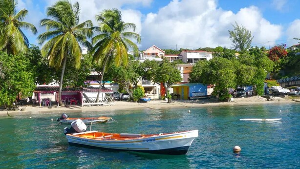 A beachside scene with a boat docked near the shore, palm trees, and buildings in the background.