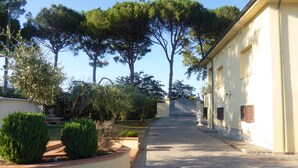 A paved pathway leading to a gated entrance, flanked by neatly trimmed hedges and trees. - Apartment in VILLA " ARIALE " (Vicopisano)