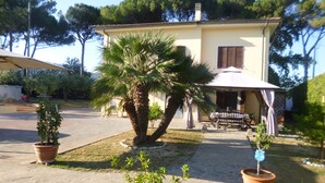 A two-story house with a patio area, a palm tree, and potted plants. - Apartment in VILLA " ARIALE " (Vicopisano)