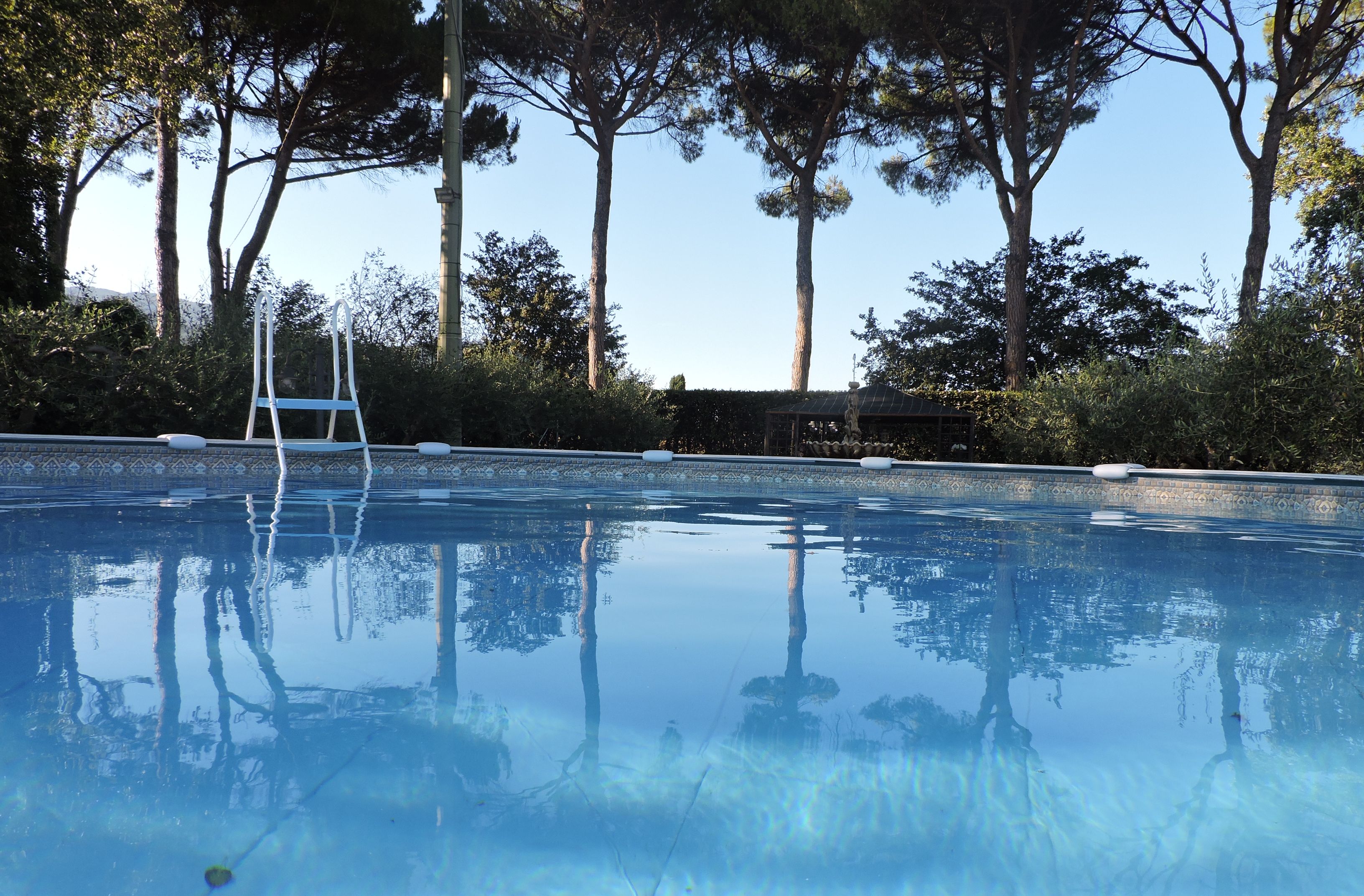 A clear swimming pool with a ladder, surrounded by trees and a tiled border.